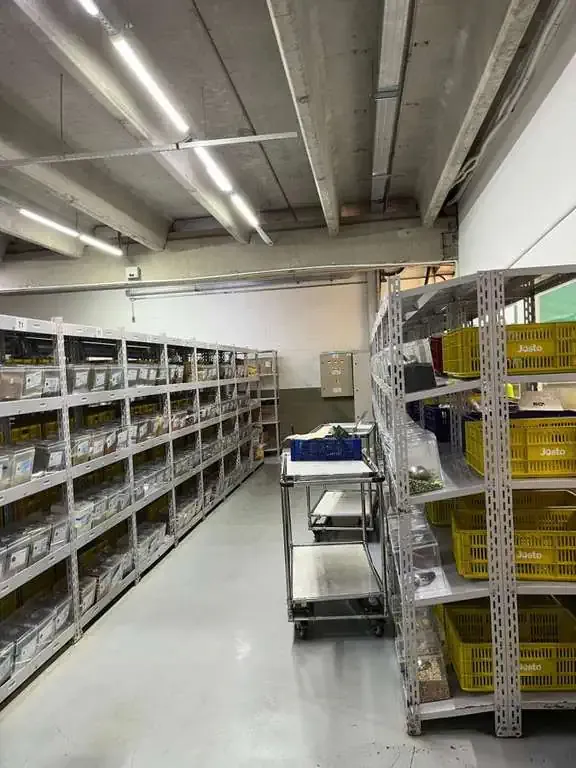 Foto do imóvel: Galpão para Alugar, 5000 m² em Parque São Domingos - São Paulo