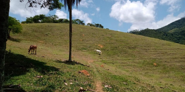 Imagem Chácara com 8 Quartos à Venda, 16.940 m² em Centro - Santa Isabel