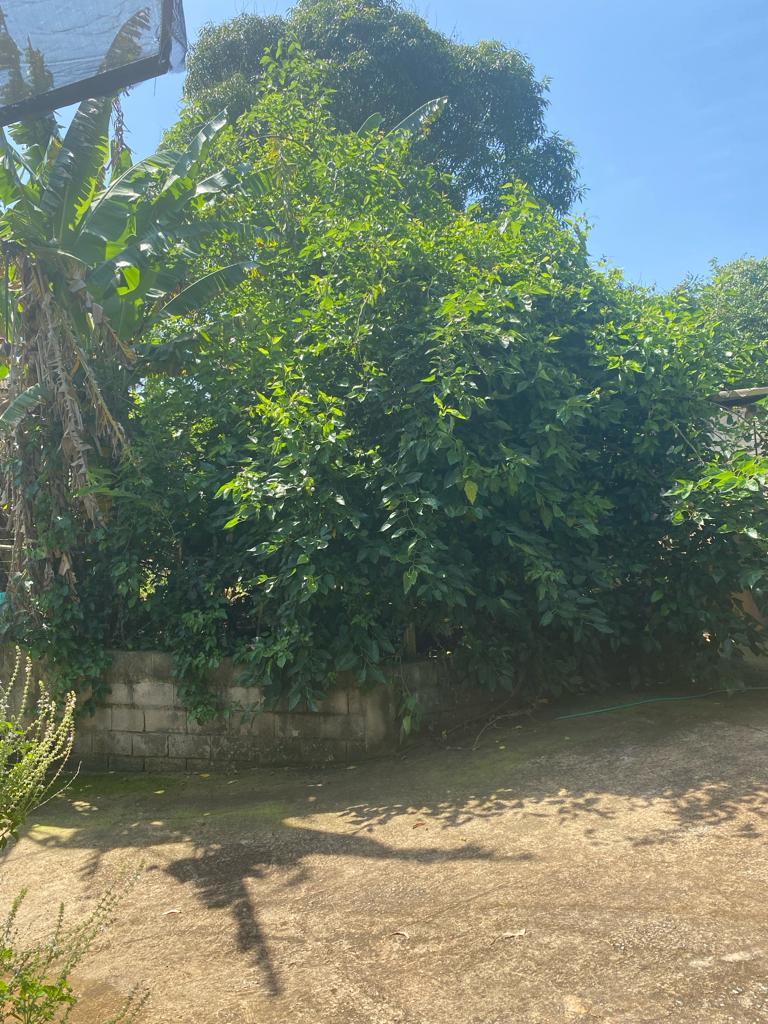 Imagem Chácara à Venda, 2 m²em Portal Pirapora - Salto de Pirapora