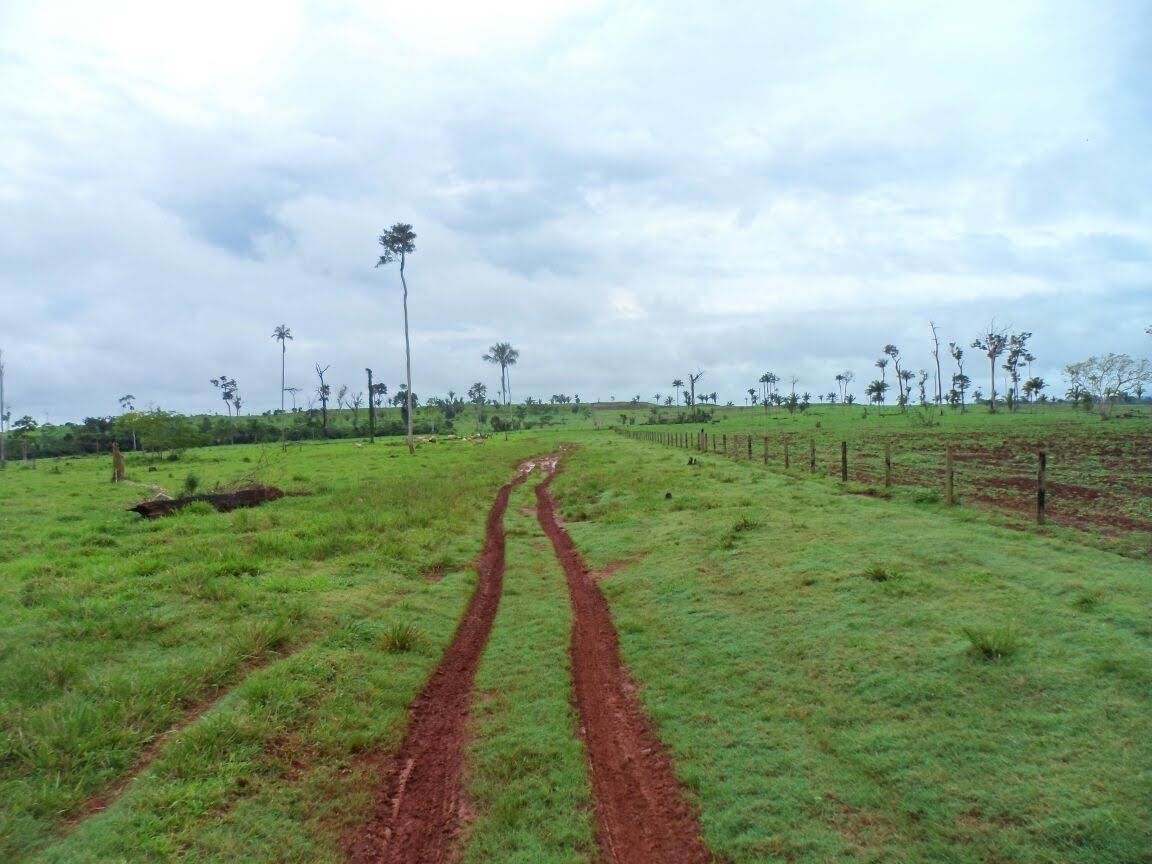 Foto do imóvel: Fazenda à Venda, 9.399 m² em Centro  - São Félix do Xingu