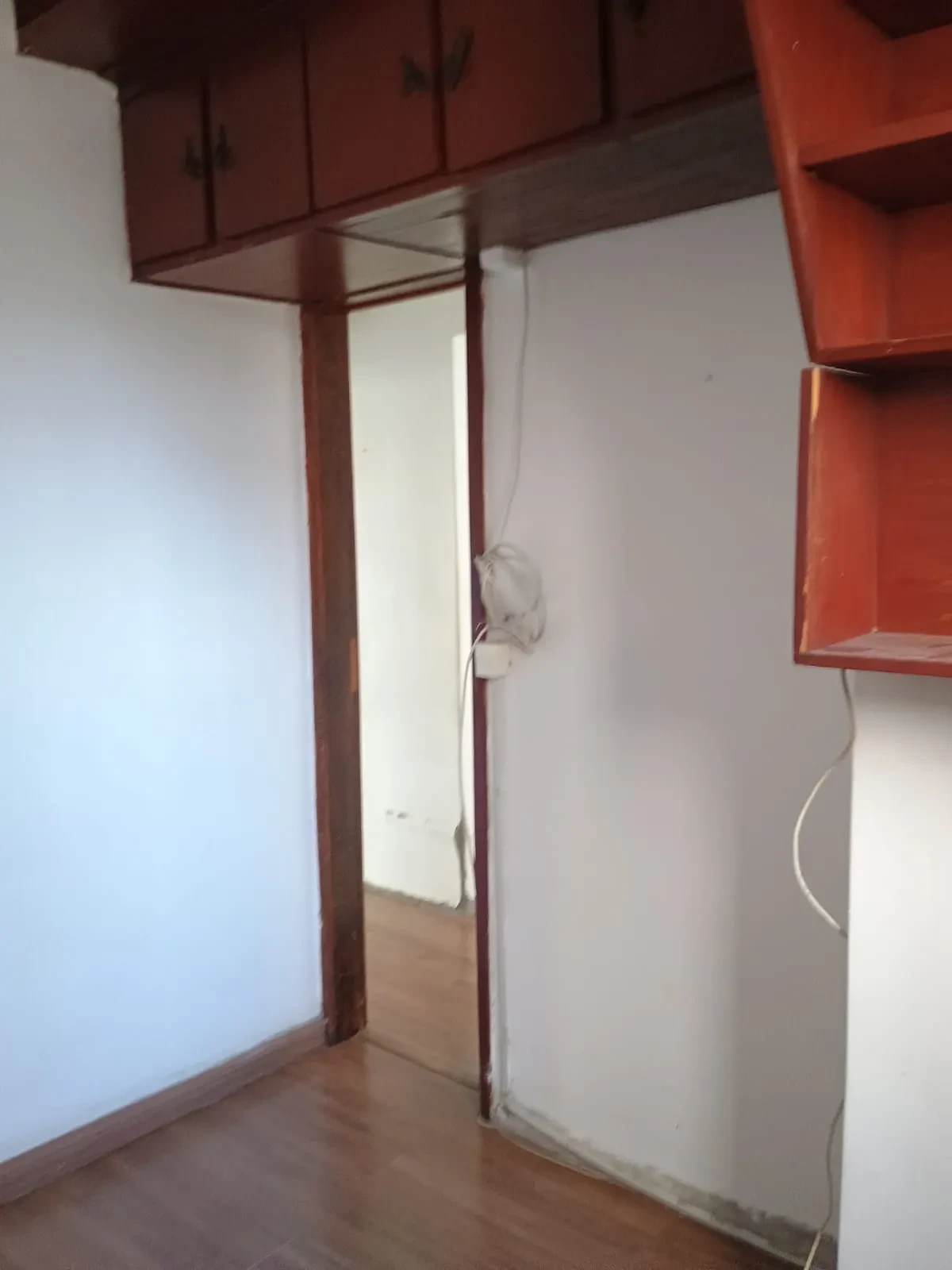 Imagem Apartamento com 2 Quartos à Venda, 50 metros em São Francisco Xavier - Rio de Janeiro