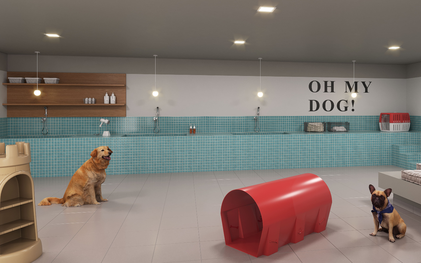 Imagem Apartamento com 3 Quartos à Venda, 70 m²em Santo Cristo - Rio de Janeiro