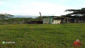 Imagem Fazenda à Venda, 74 Alq SPem ZONA RURAL - Garça
