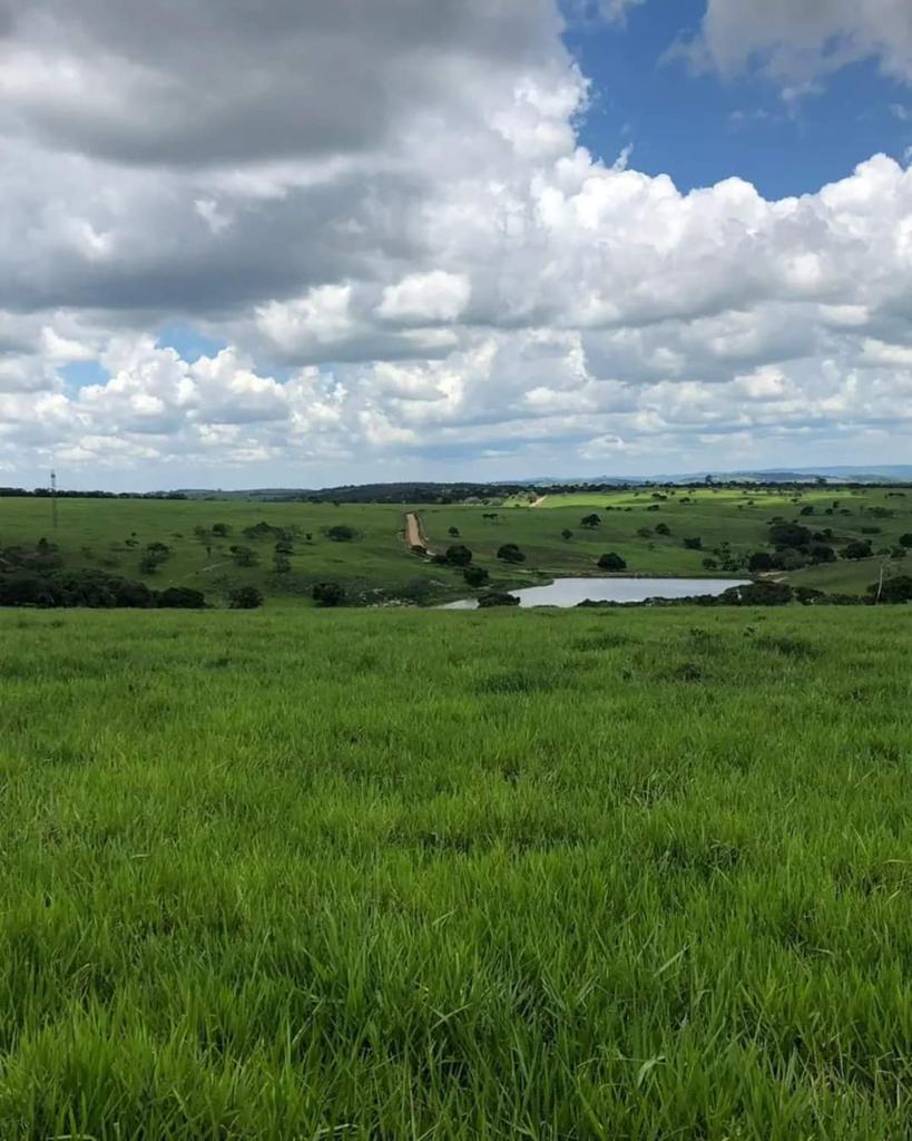 Imagem Chácara com 10 Quartos à Venda, 312 m²em Centro - Imperatriz