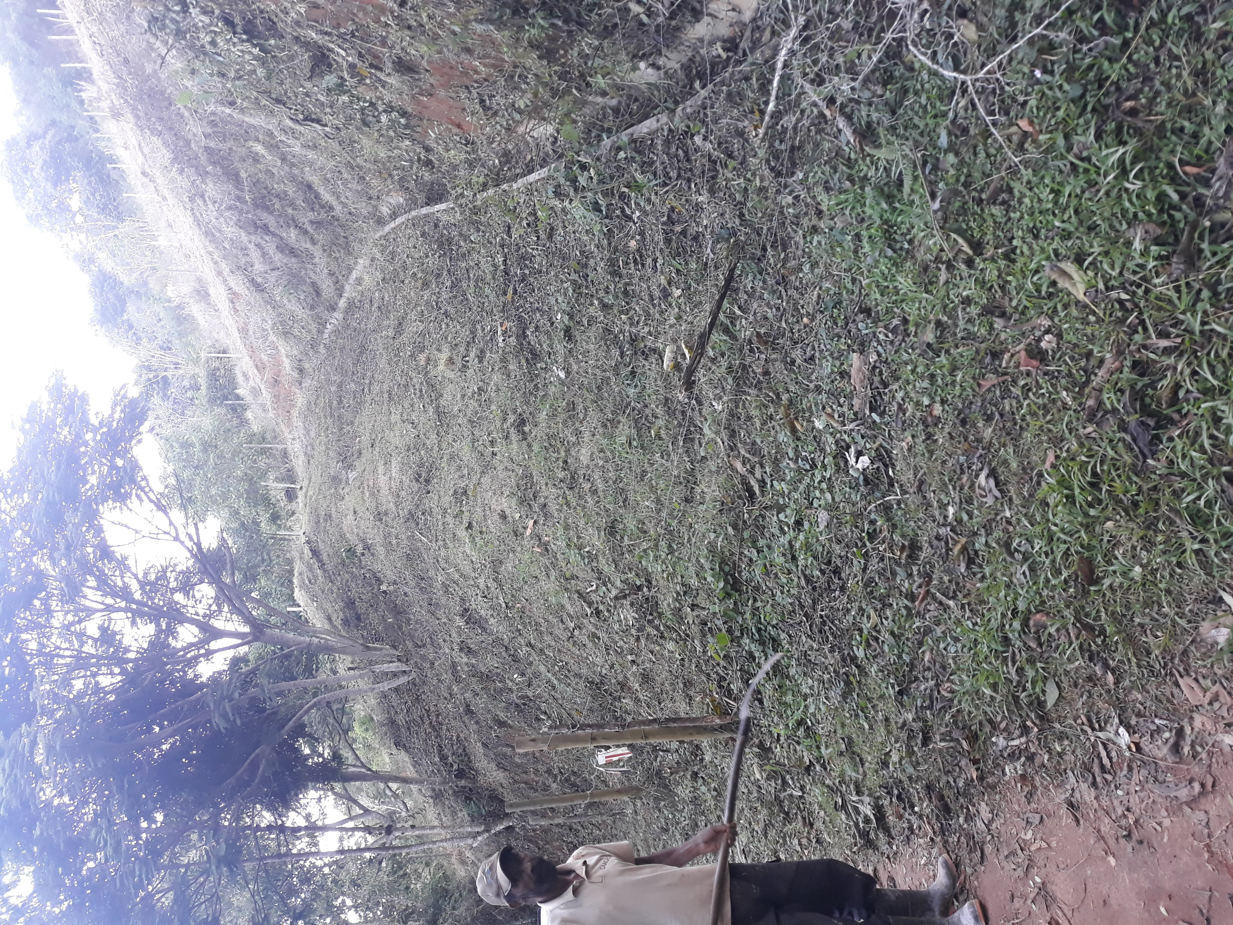 Terreno à Venda, em Torreões - Juiz de Fora
