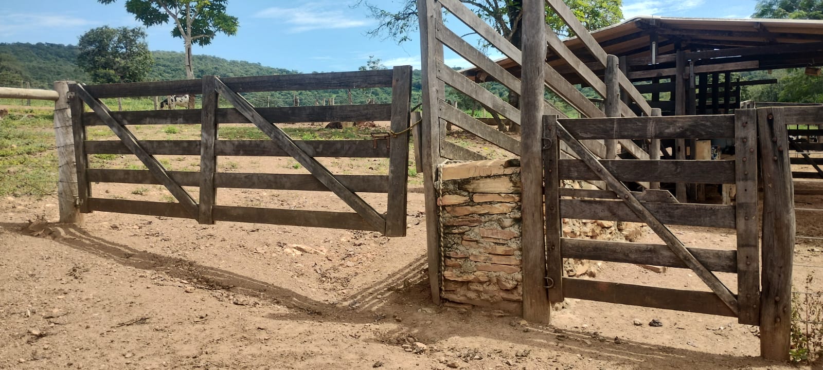 Imagem Fazenda à Venda, 16 Alq GO em SN - Caldas Novas