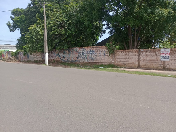 Imagem Terreno para Alugar,  em Aldeia - Santarém