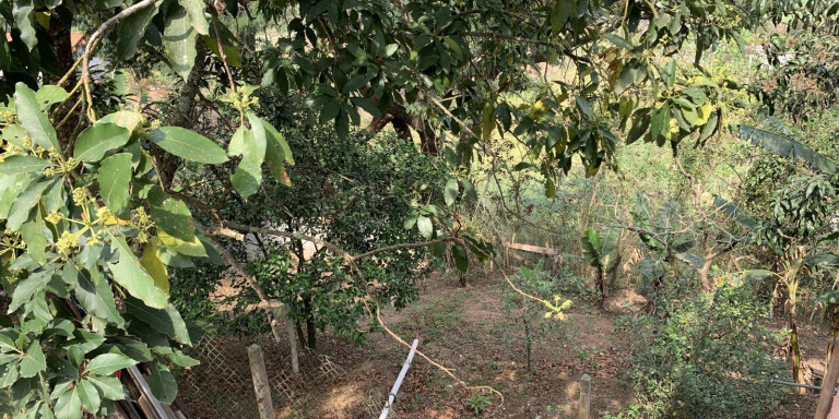 Imagem Chácara com 3 Quartos à Venda, 200 m² em Centro - Santa Isabel