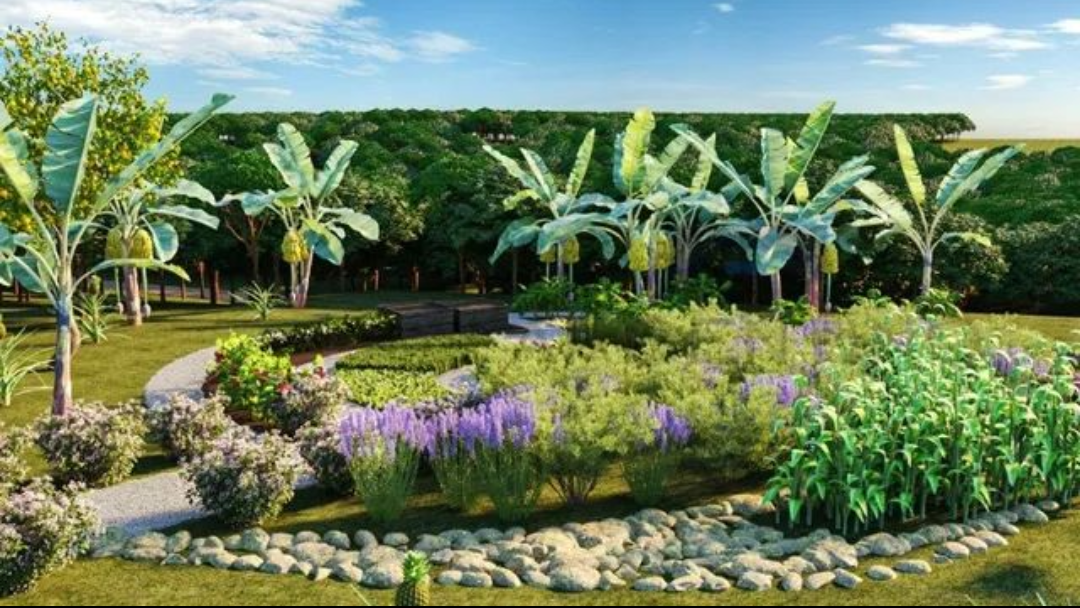 Imagem Terreno à Venda, 250 m² em Cézar de Souza - Mogi das Cruzes