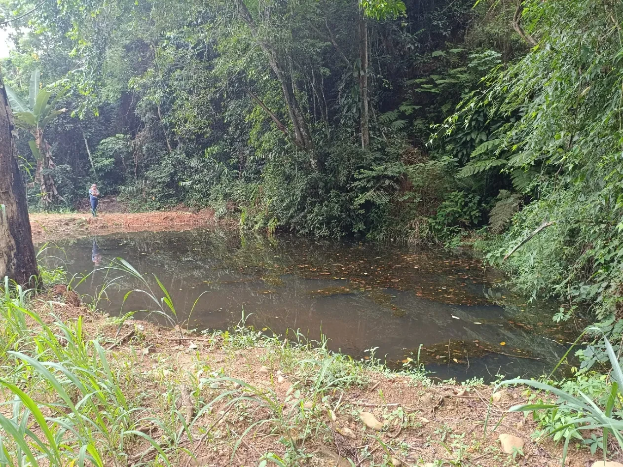 Imagem Chácara à Venda, 20000 metros em Santa Leopoldina - Santa Leopoldina