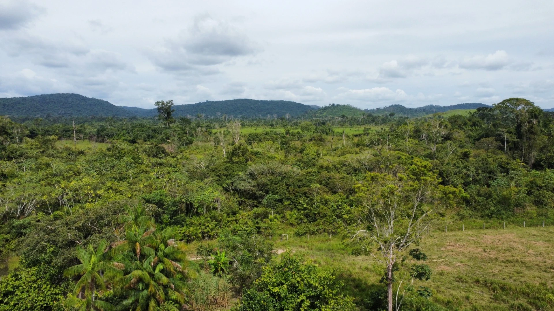 Foto do imóvel: Fazenda à Venda, 900 Alq. GO em São Félix do Xingu - São Félix do Xingu