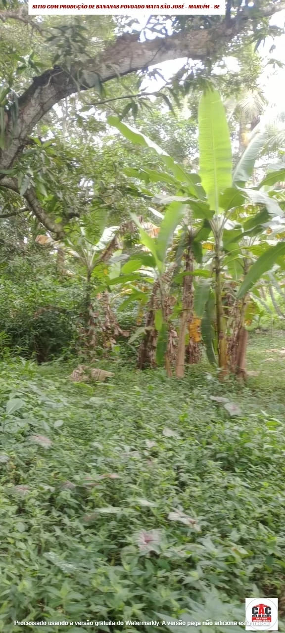 Foto do imóvel: Chácara com 2 Quartos à Venda, 80 m² em Maruim - Maruim