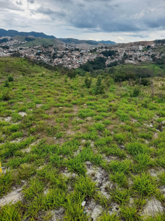 Imagem Terreno à Venda, 302 m² em Residencial Morumbí - Poços De Caldas