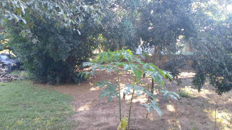 Imagem Chácara com 4 Quartos à Venda, 300 m² em Jardim do Trevo - Araçatuba