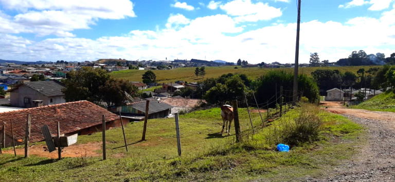 Imagem Terreno à Venda, 324 m²em São Miguel - Lages