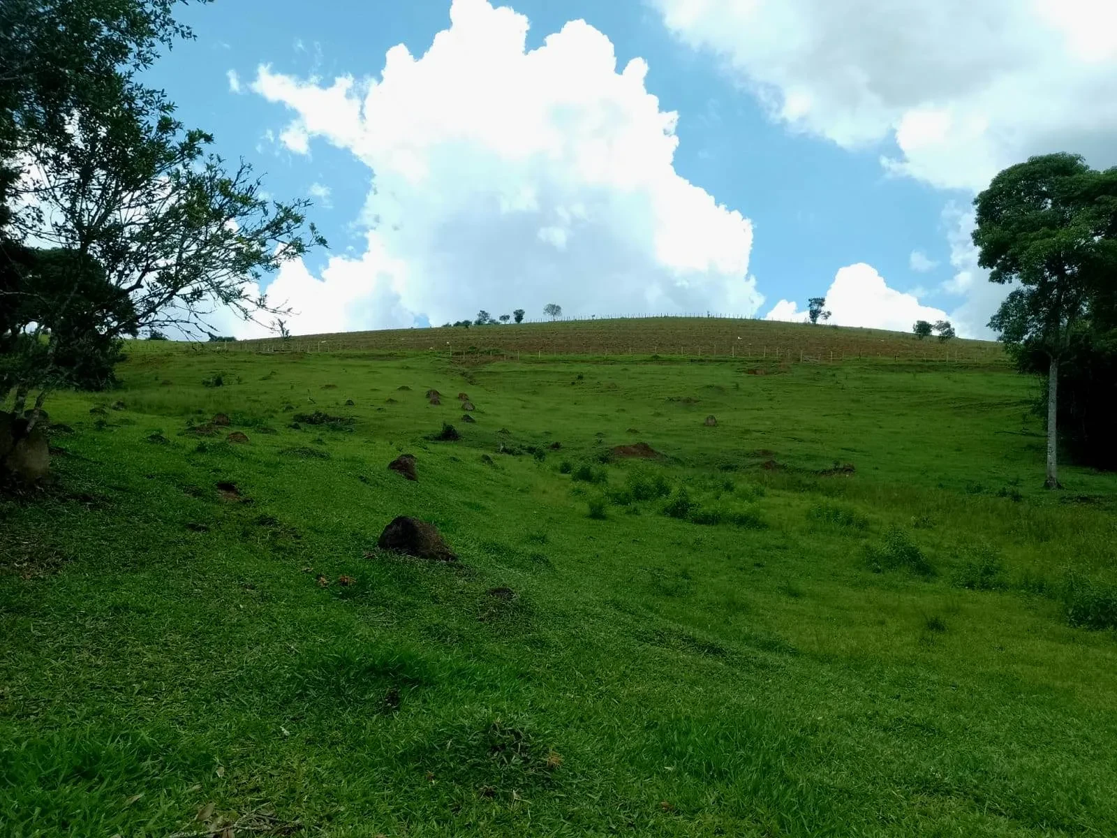 Imagem Fazenda à Venda, 5 Alq. MG em Caldas - Caldas