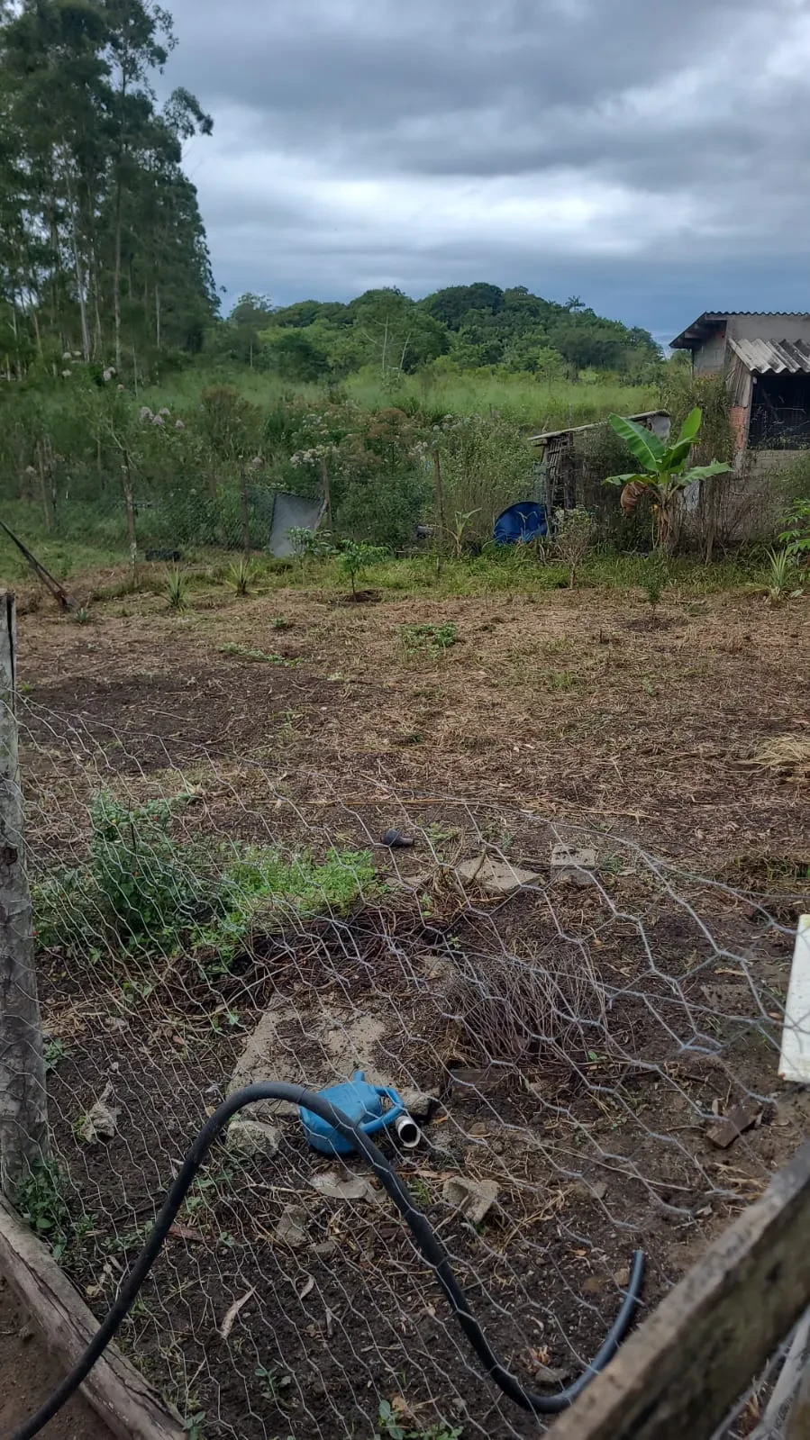 Imagem Chácara com 3 Quartos à Venda, 500 m² em Itariri - Itariri