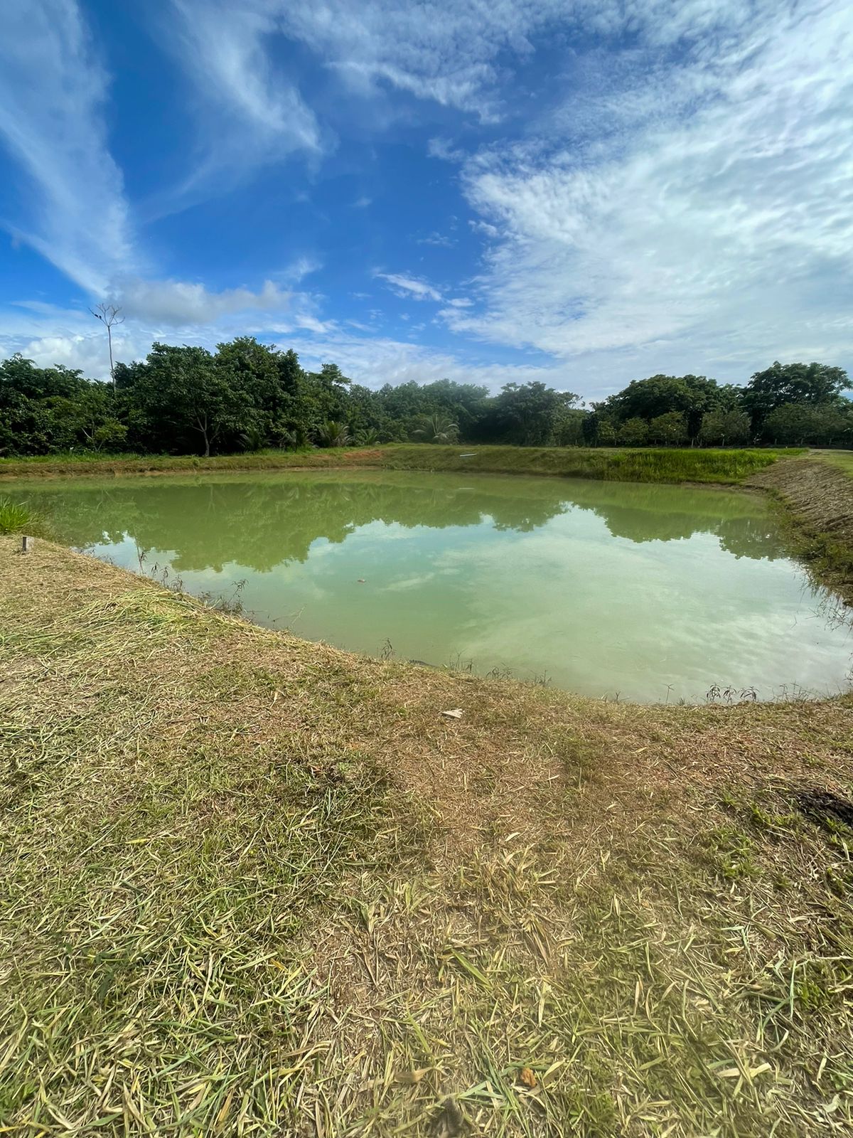 Imagem Terreno à Venda, 210.000 m²em Área Rural de Manacapuru - Manacapuru