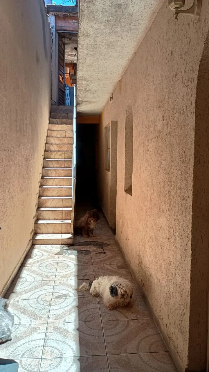 Imagem Sobrado com 4 Quartos à Venda, 150 m² em Jardim Bartira - São Paulo