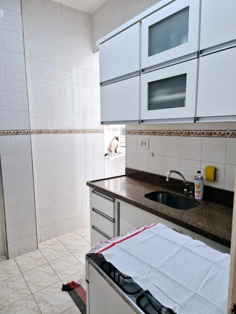 Imagem Apartamento com 2 Quartos à Venda, 80 m² em Lins de Vasconcelos - Rio de Janeiro