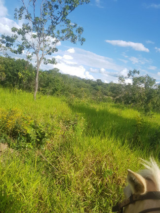 Imagem Fazenda à Venda,  em Área Rural - Padre Bernardo