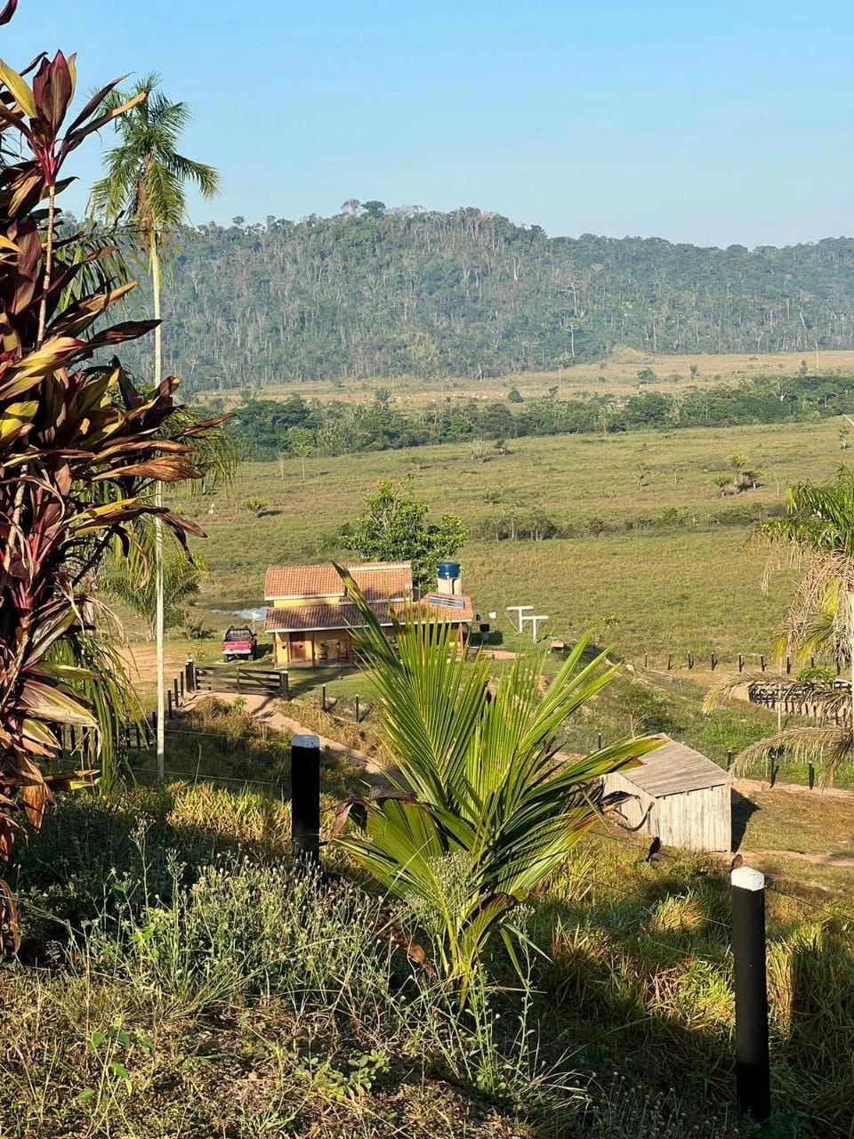 Foto do imóvel: Fazenda à Venda, 831 Alq. GO em Gurupá - Gurupá
