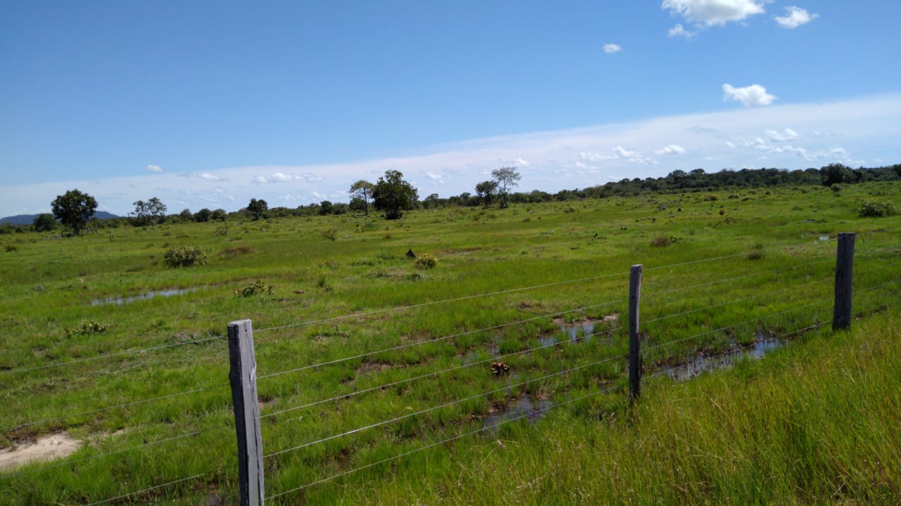 Imagem Fazenda à Venda, 543 Alq GOem Zona Rural - Cocalinho