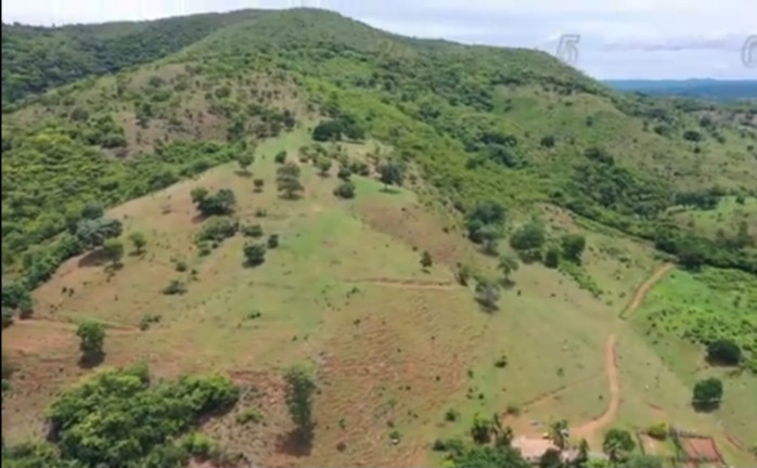 Imagem Fazenda à Venda, 54 Alq GOem Setor Central - Faina