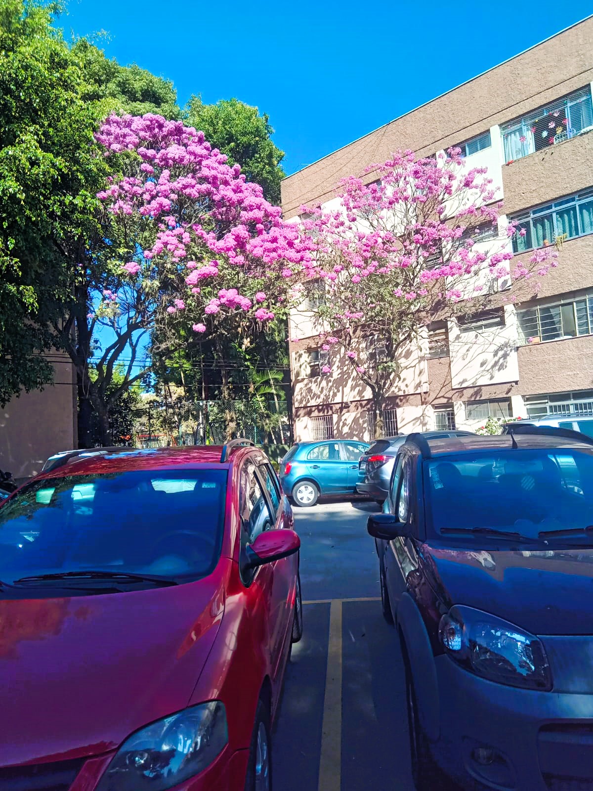 Imagem Apartamento com 2 Quartos à Venda, 60 m²em Parque Residencial da Lapa - São Paulo