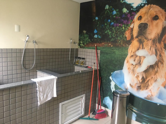 Imagem Apartamento com 2 Quartos à Venda, 50 m² em Vila Das Mercês - São Paulo