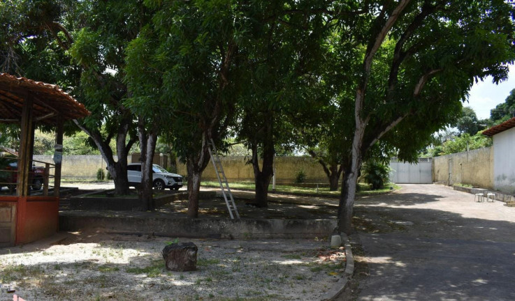 Fazenda à Venda ou Locação, 300 m² em Vila Esperança - São Luís