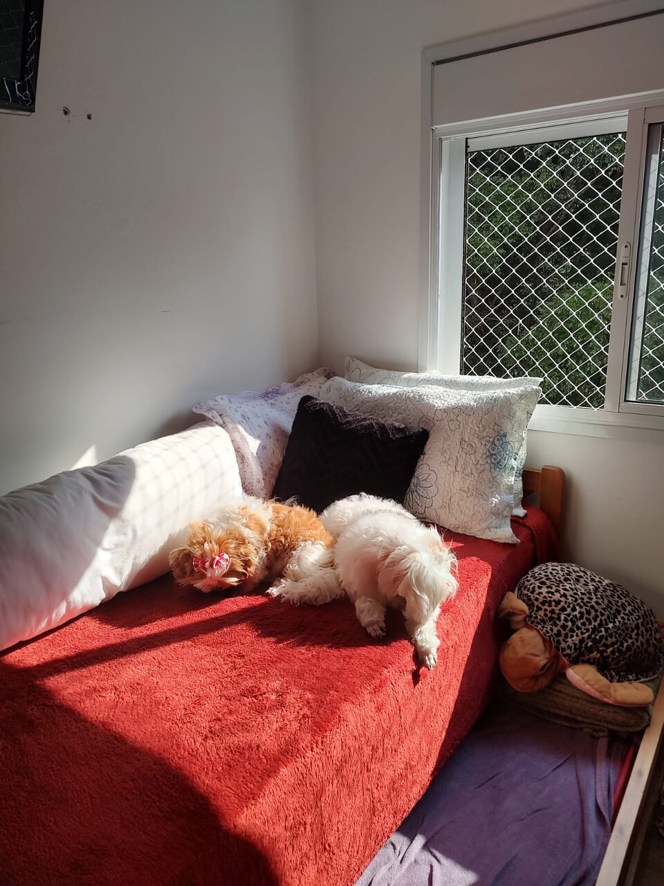 Foto do imóvel: Apartamento com 2 Quartos à Venda, 85 m² em Centro - Diadema