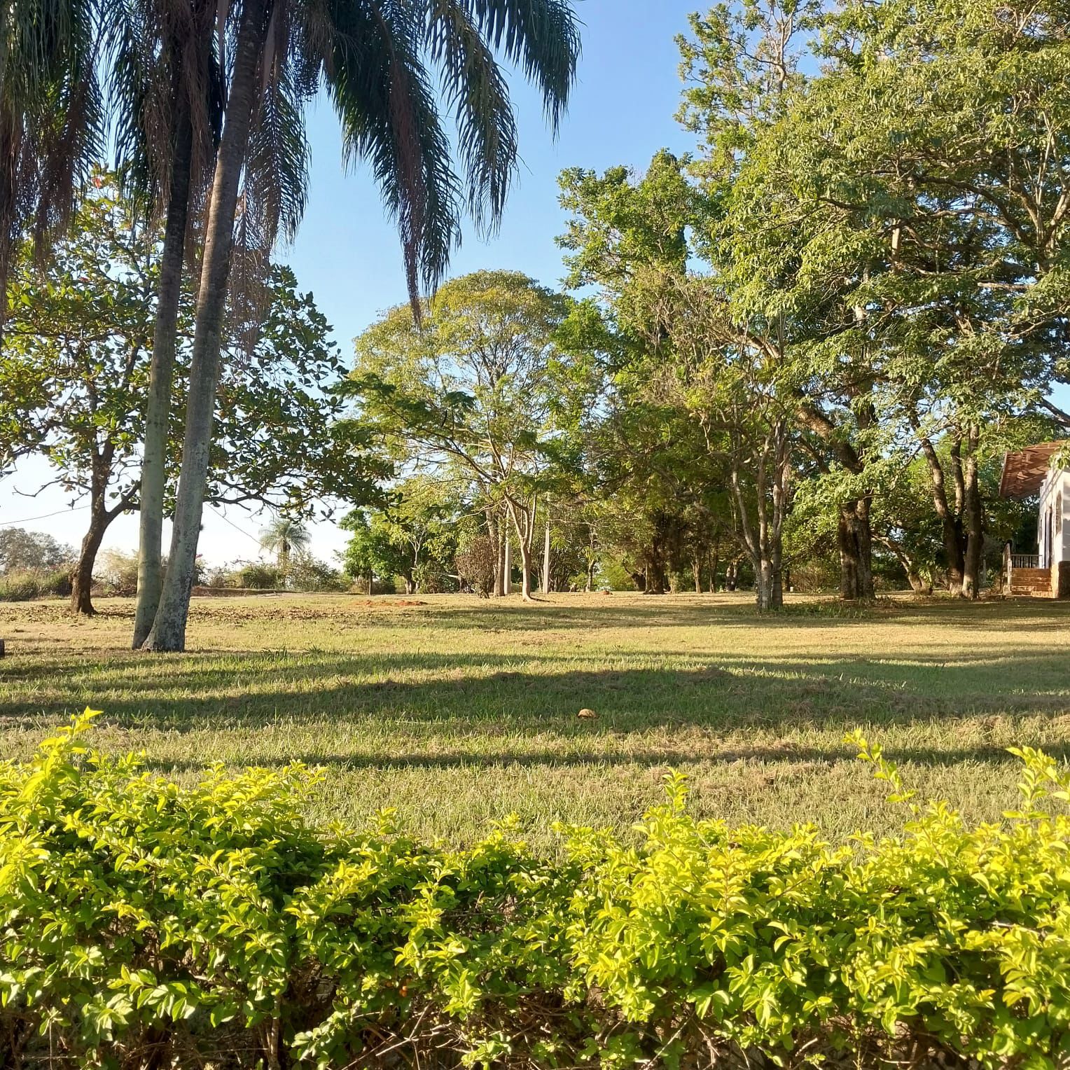 Foto do imóvel: Terreno em Condomínio à Venda, 250 m²em Colinas do Castelo - Jaguariúna