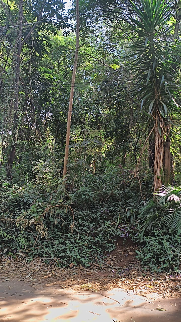 Imagem Terreno à Venda, 1.000 m² em Recanto da Aldeia - Brumadinho