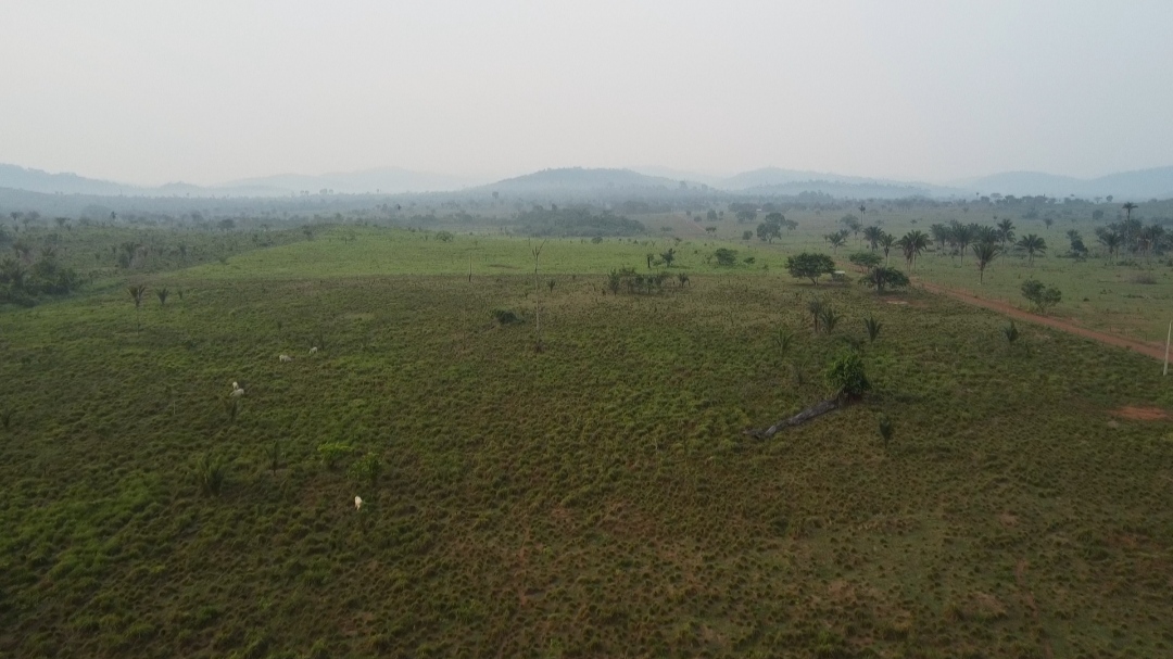 Foto do imóvel: Fazenda à Venda, 1 m²em Centro  - São Félix do Xingu