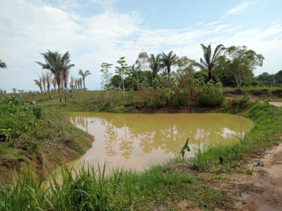Terreno à Venda, 2.000 m² em Zona Rural - Humaitá