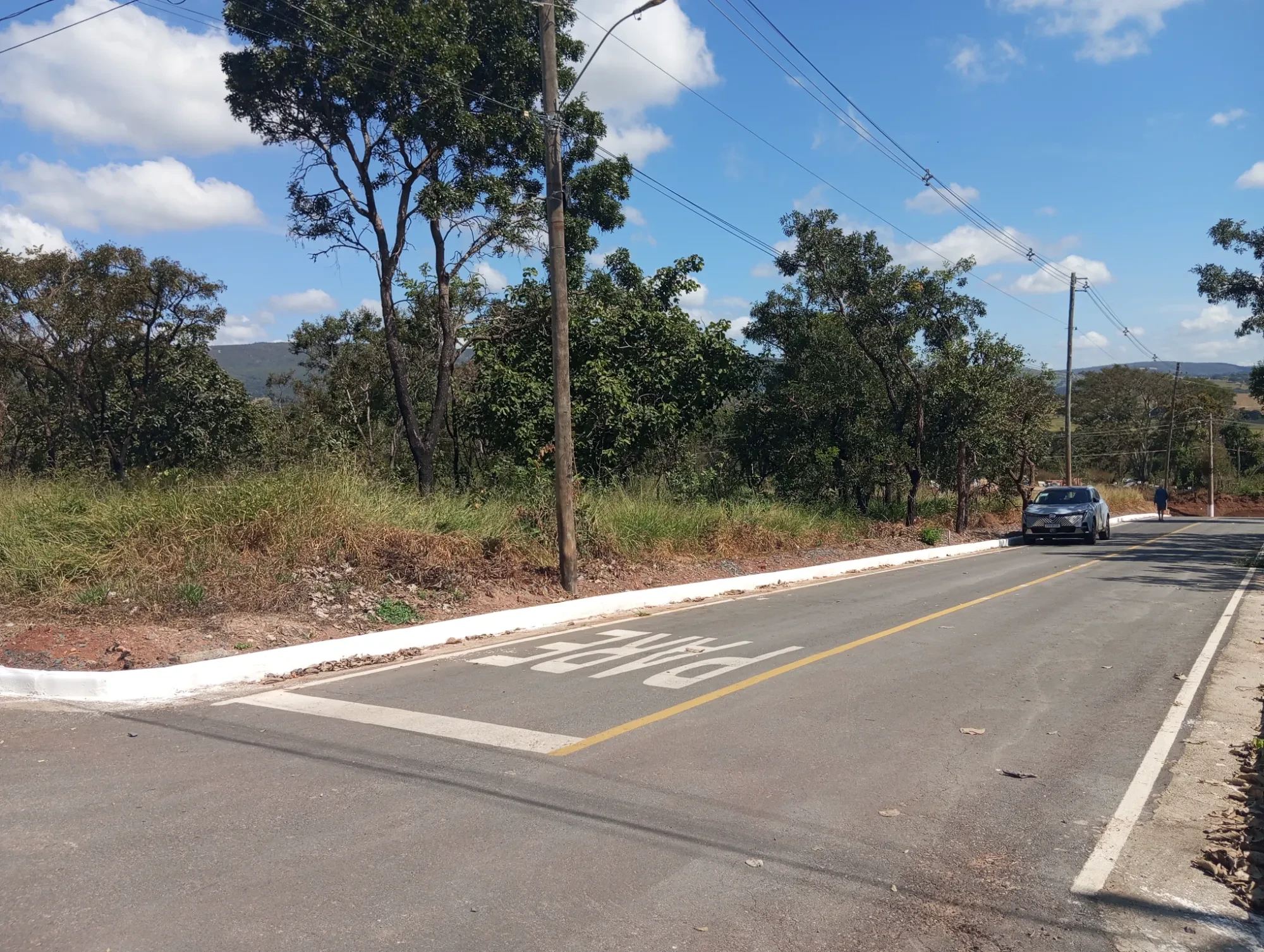 Imagem Terreno à Venda, 2982 m² em Pequi - Pequi