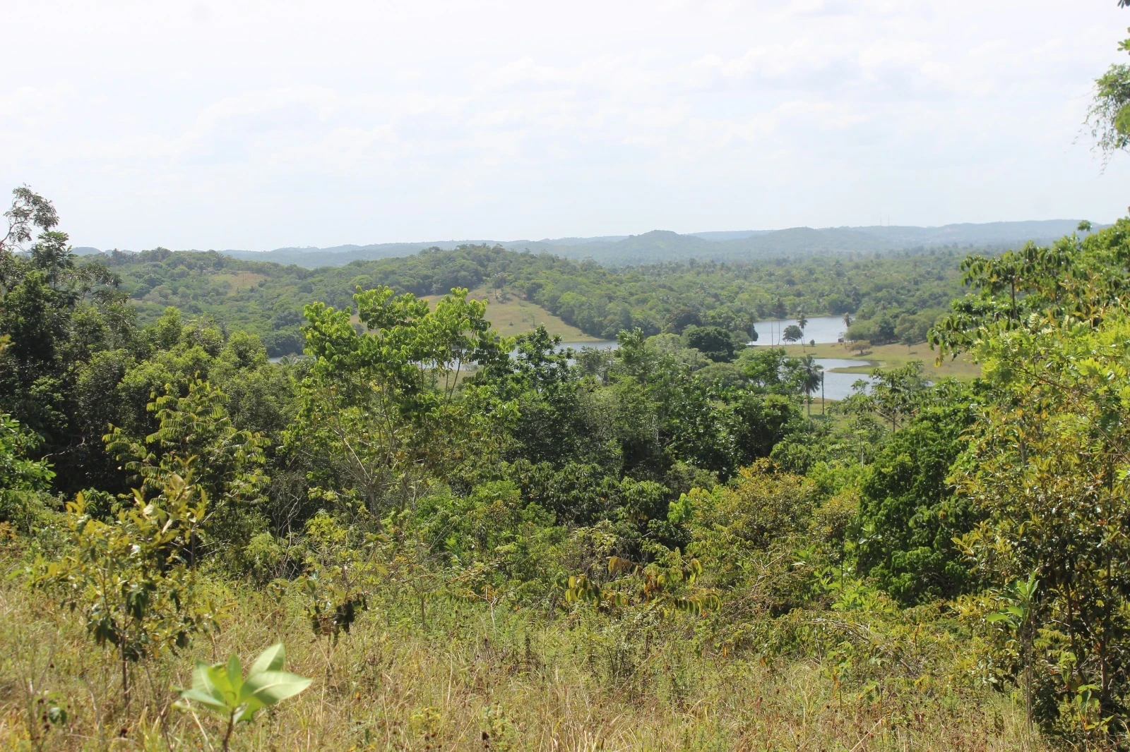 Foto do imóvel: Chácara com 2 Quartos à Venda, 20100 m² em Mata de São João - Mata de São João