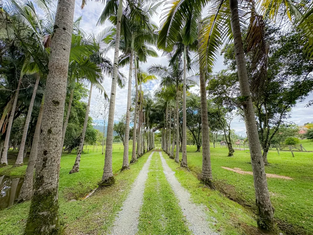 Foto do imóvel: Chácara com 3 Quartos à Venda, 15595 m² em Área Rural de Camboriú - Camboriú