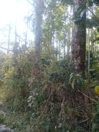Imagem Terreno à Venda, 123.000 m² em Zona Rural - Santa Bárbara do Tugúrio