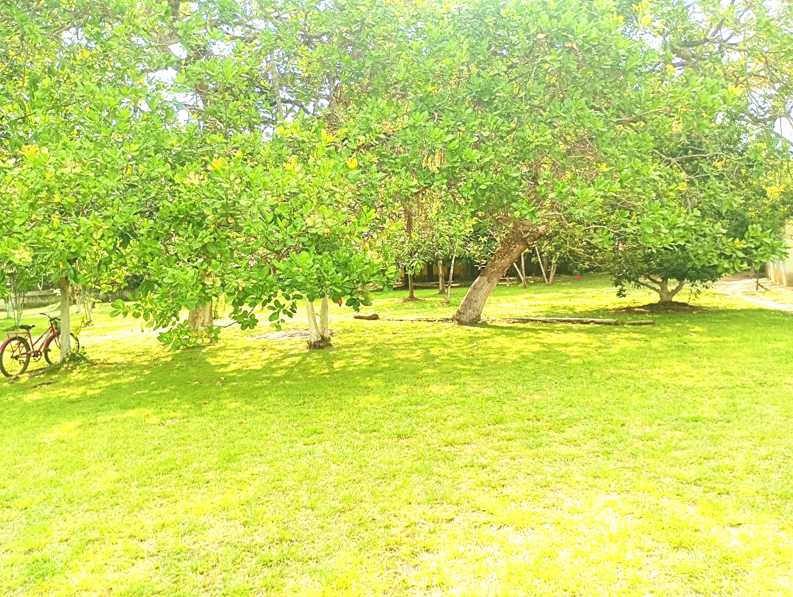 Imagem Chácara com 3 Quartos à Venda, 15 m²em Pau Darco - Santa Bárbara do Pará