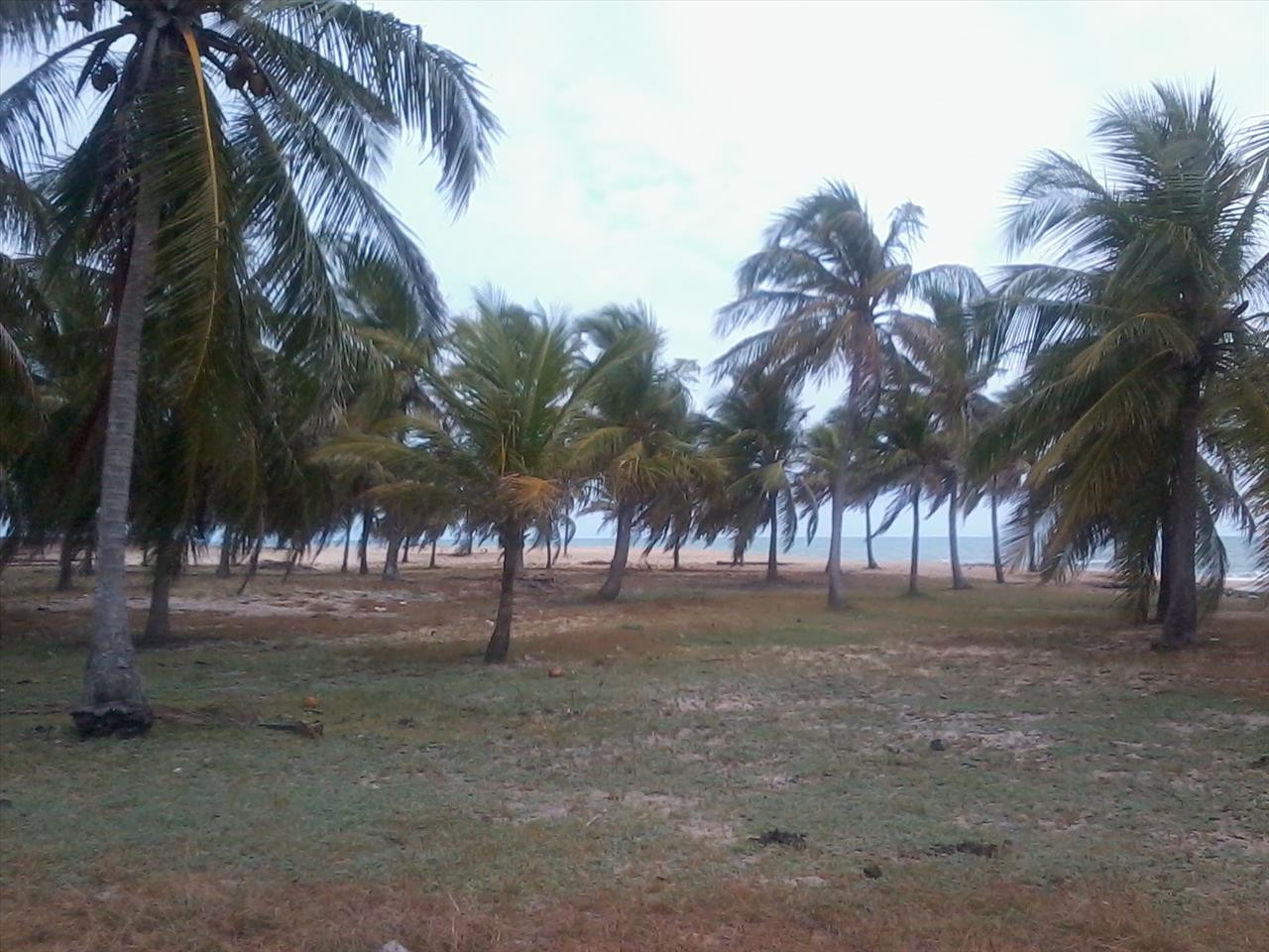 Terreno à Venda, 168.640 m² em Praia de Pititinga - Rio do Fogo