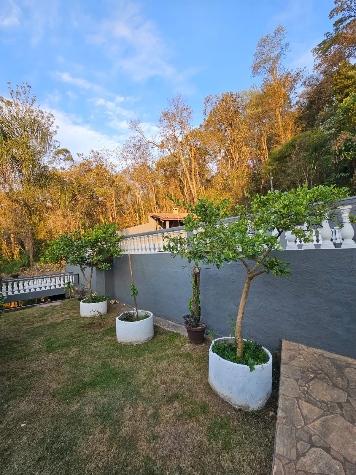 Imagem Chácara com 3 Quartos à Venda, 300 m² em Jundiaizinho (Terra Preta) - Mairiporã