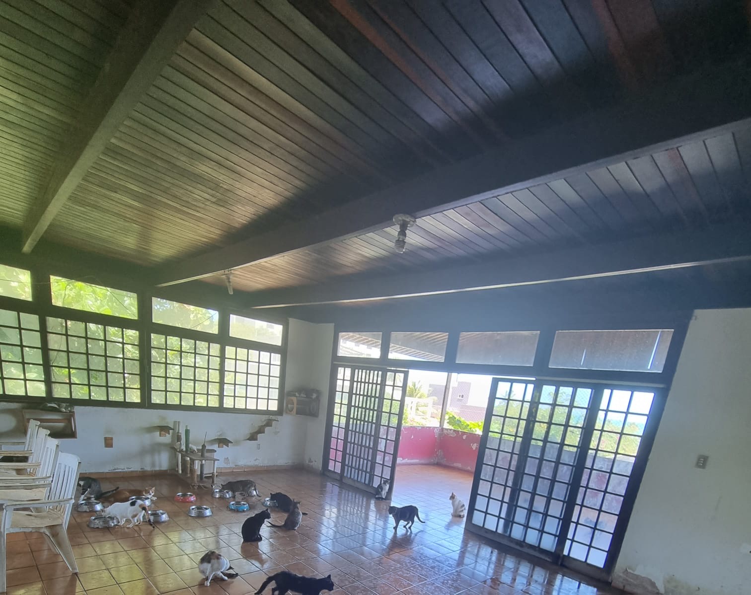Imagem Casa com 4 Quartos à Venda, 300 m² em Garça Torta - Maceió