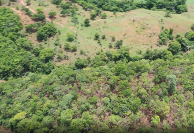 Imagem Fazenda à Venda, 54 Alq GOem Setor Central - Faina