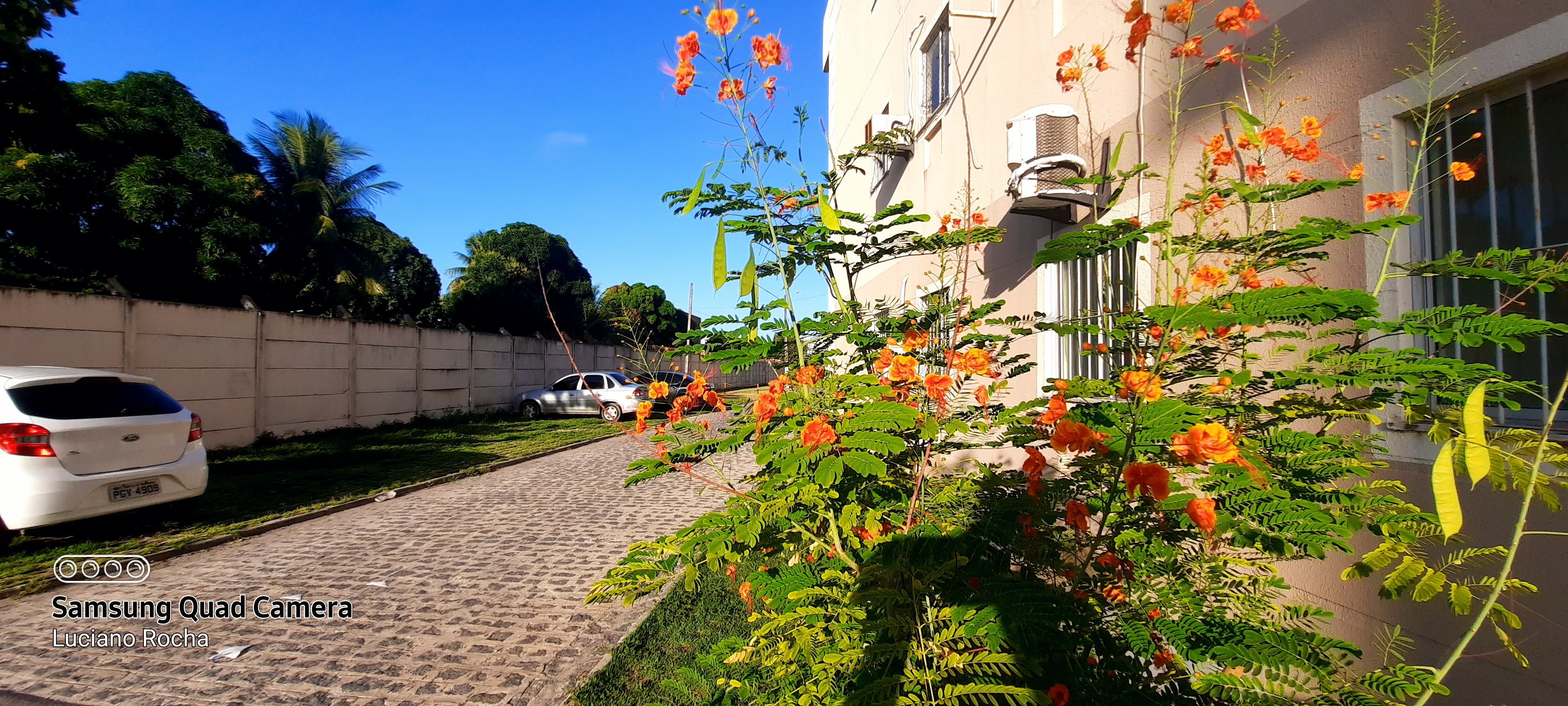 Imagem Apartamento com 3 Quartos para Alugar, 60 m²em Candeias - Jaboatão dos Guararapes