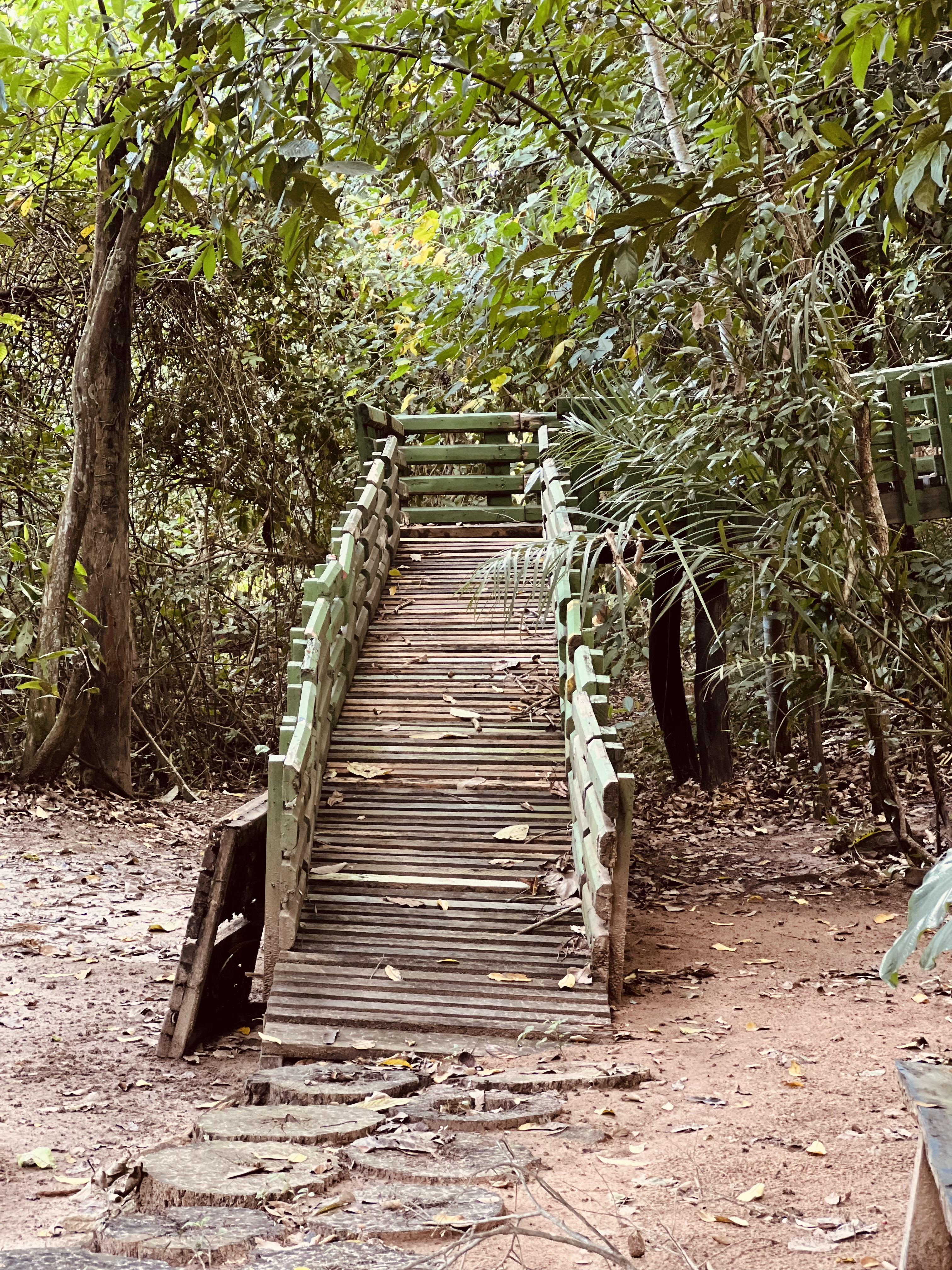 Foto do imóvel: Chácara com 7 Quartos à Venda, 5.000 m² em Setor Central - Mairipotaba
