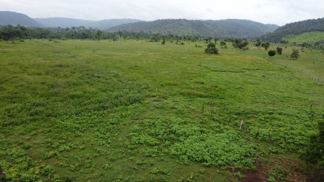 Foto do imóvel: Fazenda à Venda, 90 m²em Centro - São Félix do Xingu