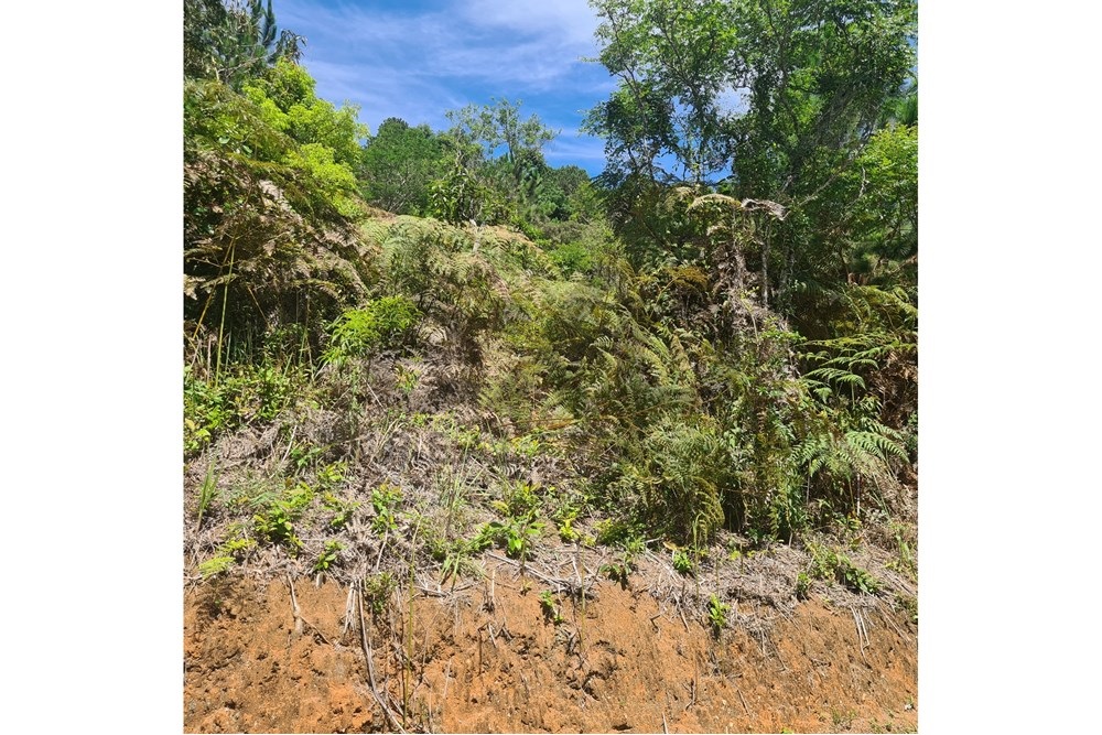 Imagem Terreno à Venda, 5.030 m² em Cuiabá - Petrópolis