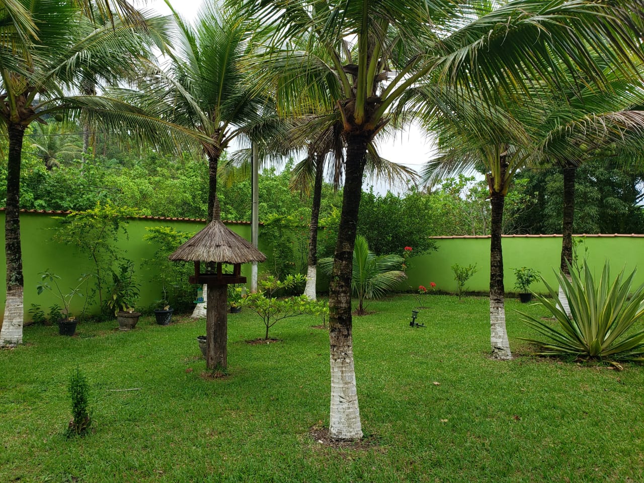 Foto do imóvel: Chácara com 2 Quartos à Venda, 2.000 m² em Mazomba - Itaguaí